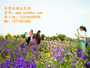 夏季旅行，你必須知道的那些事兒！